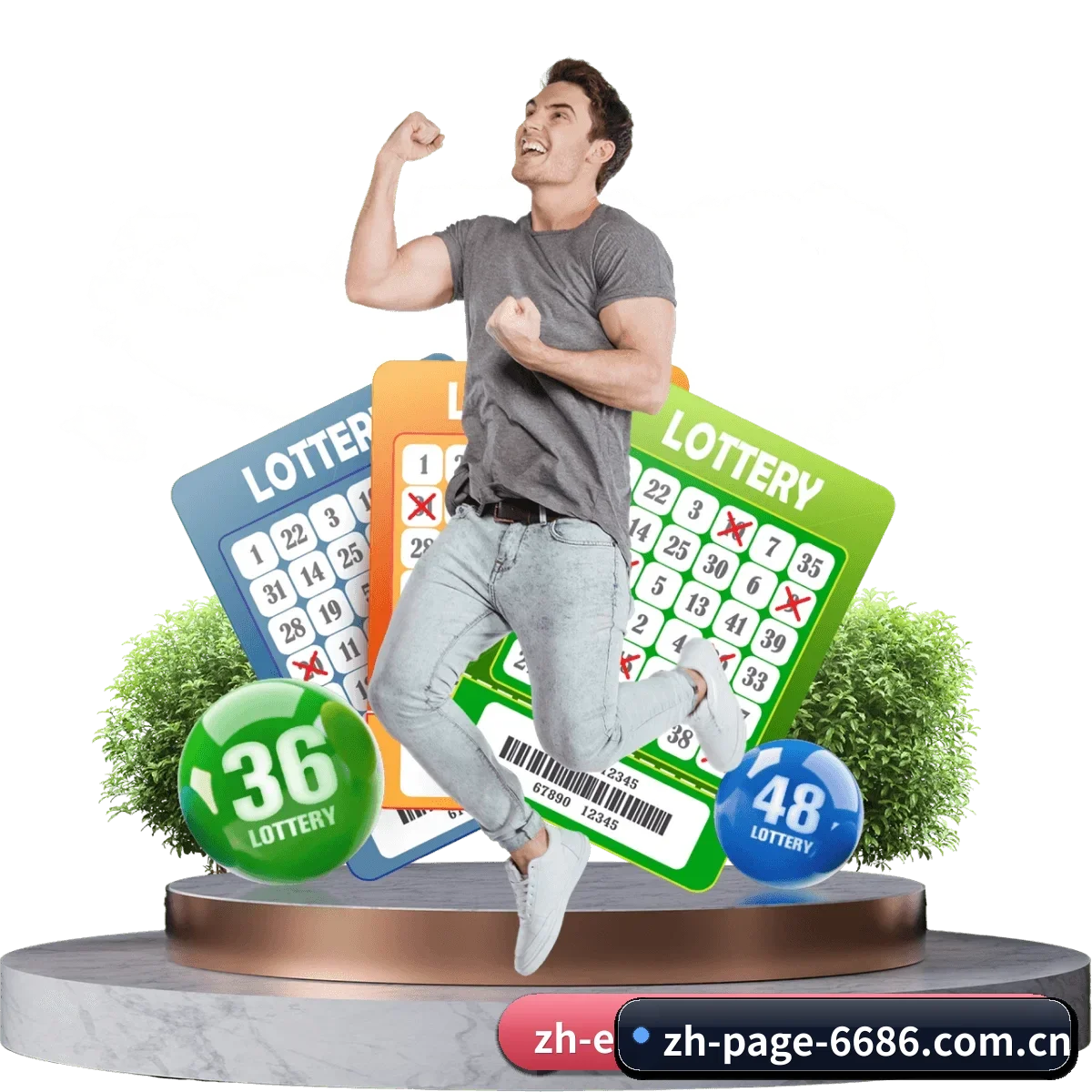 全球化版图确立